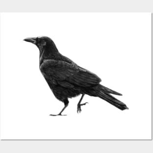 Crow Painting Posters and Art